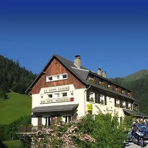 3* Hotel Le Sapin Fleuri
